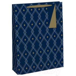 Пакет подарочный Rhodia Geometric Male / 28590-3C