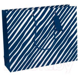 Пакет подарочный Rhodia Men In Blue / 30618-6C